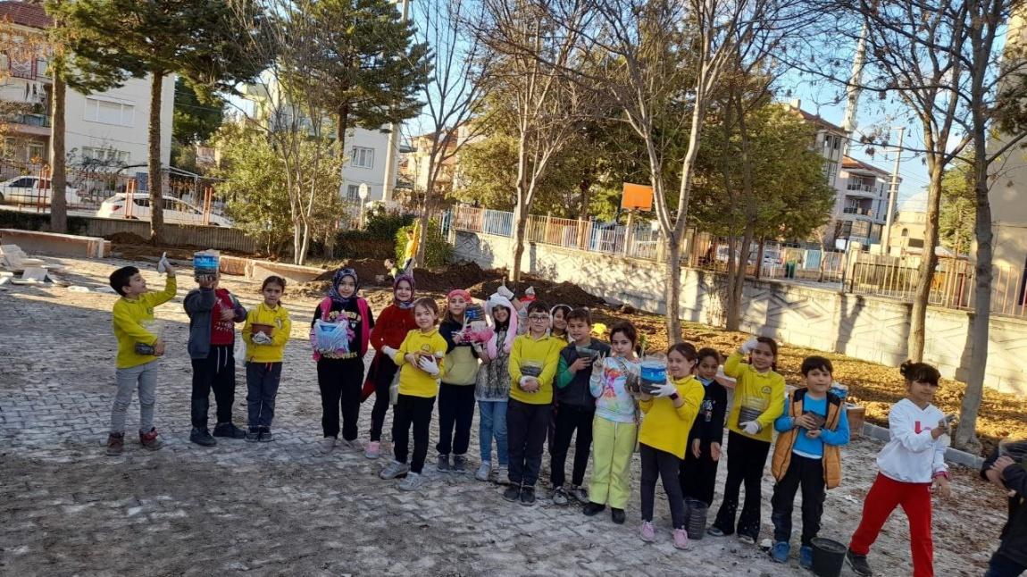 ÇEDES Projesi ile Öğrencilerimiz Meyve Ağacı Tohumu Diktiler